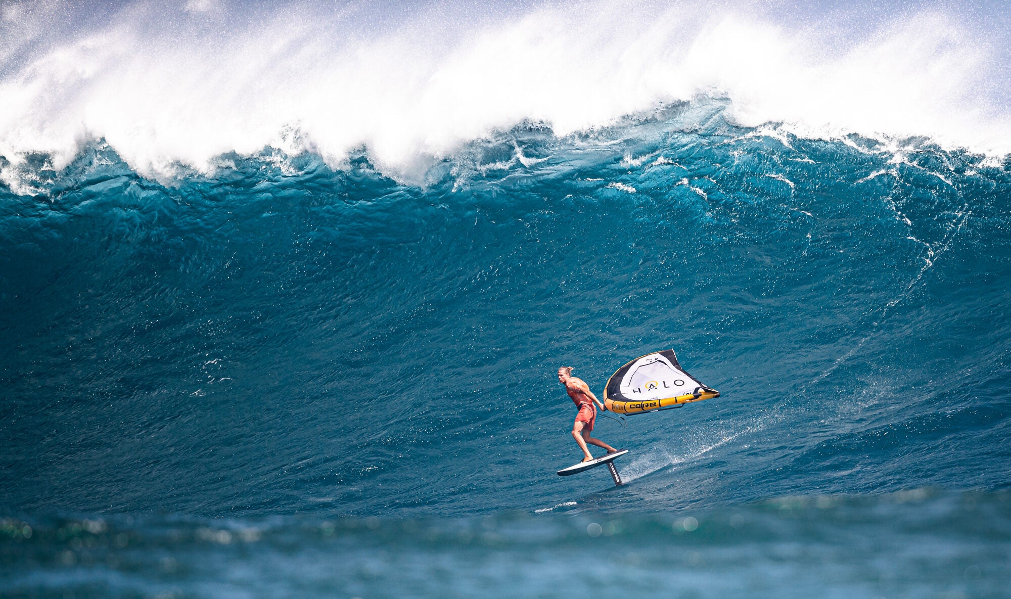 Core Halo Pro vinge - ivinden.no