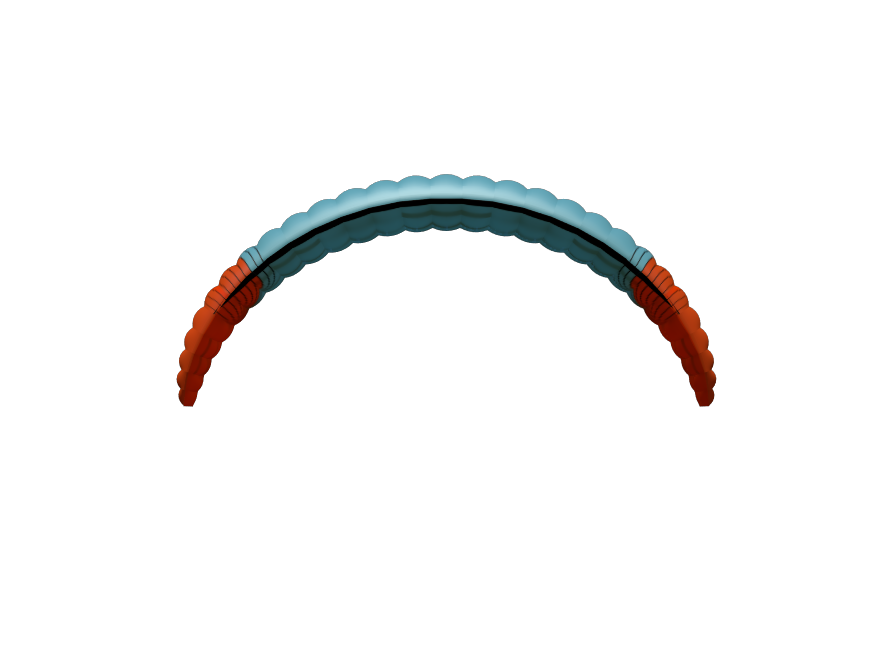 Peter Lynn Ibex Foilkite